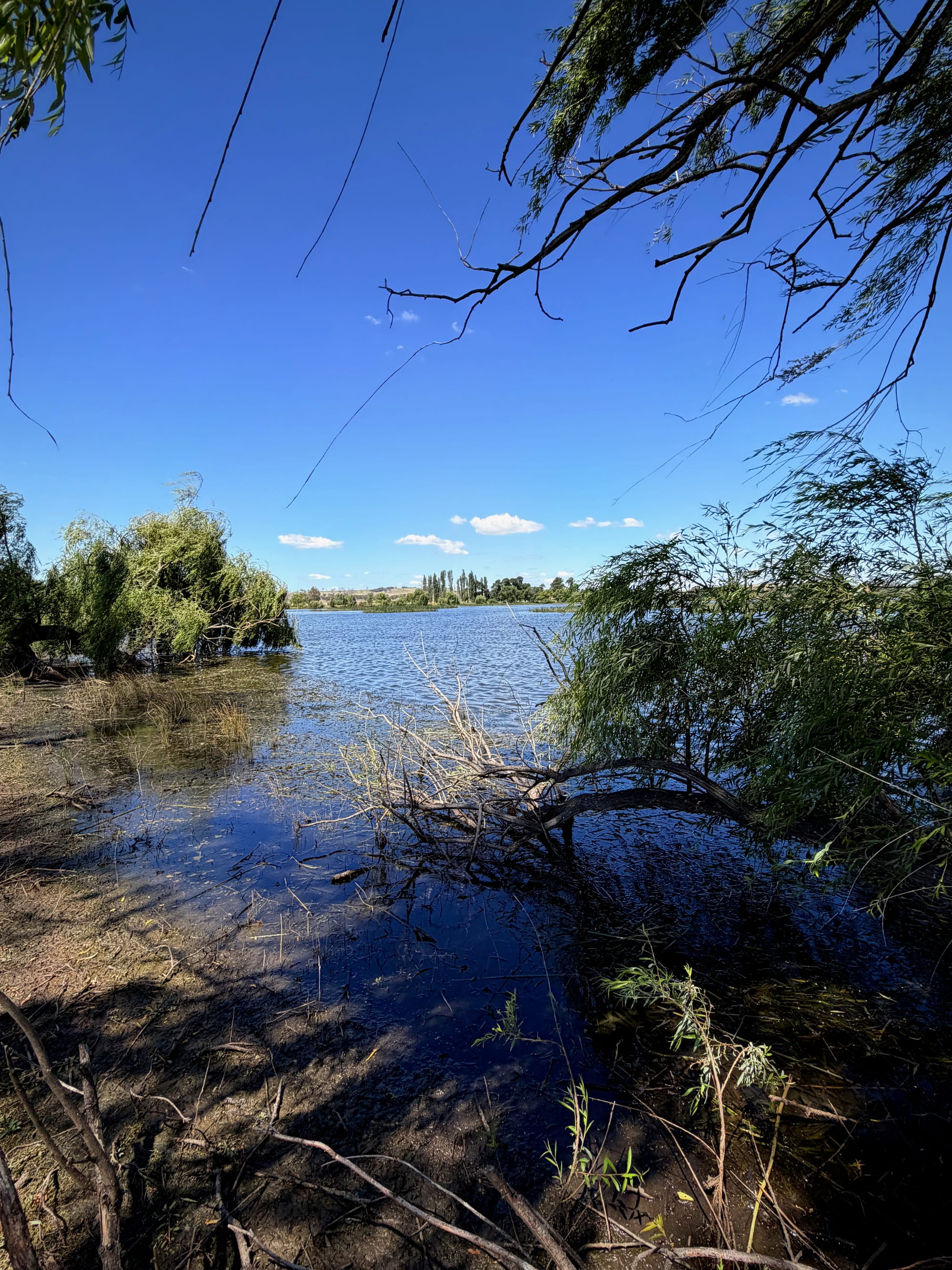 Dangar's Lagoon, Uralla