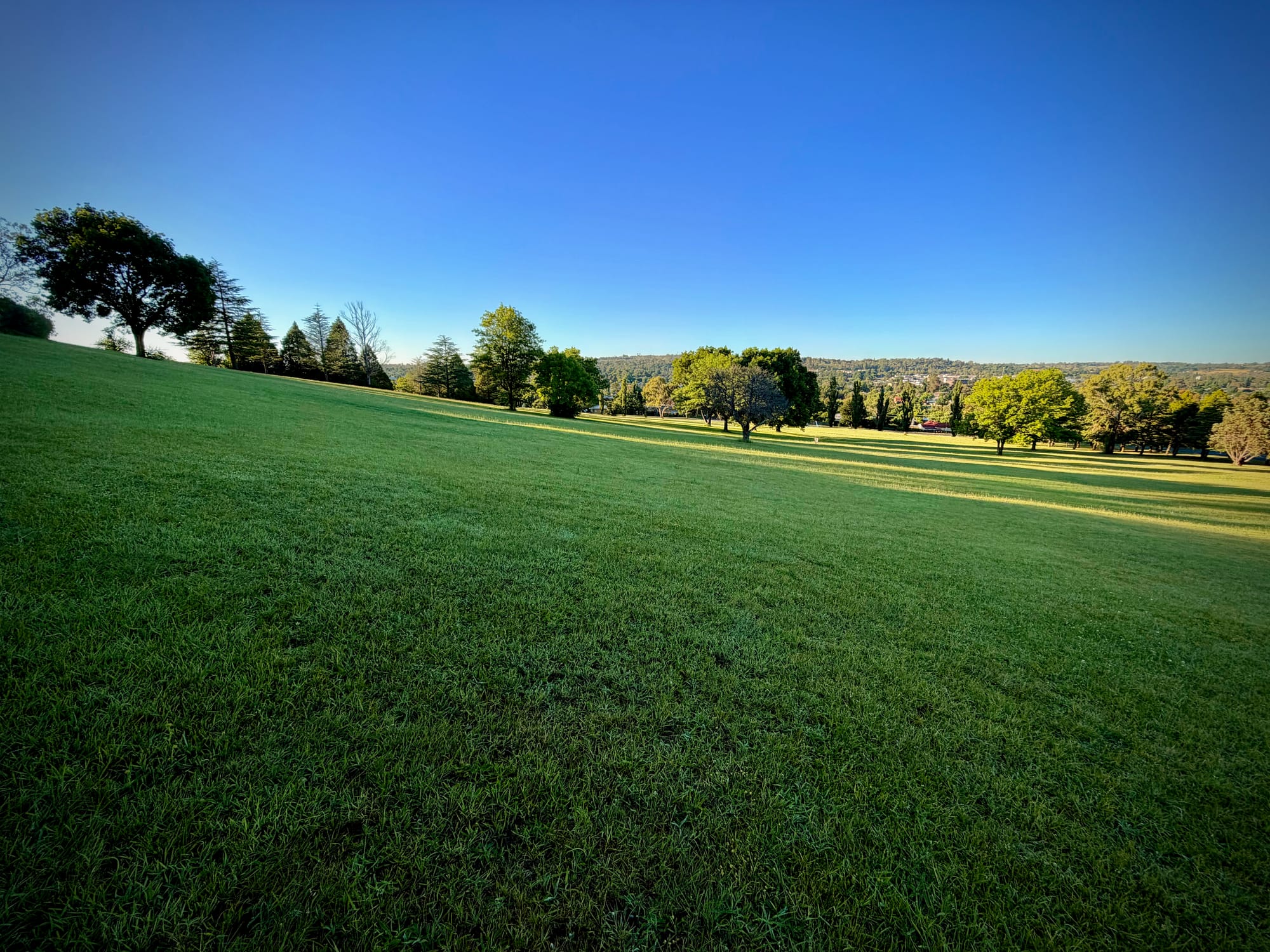 Open spaces are easy to find in the northern tablelands