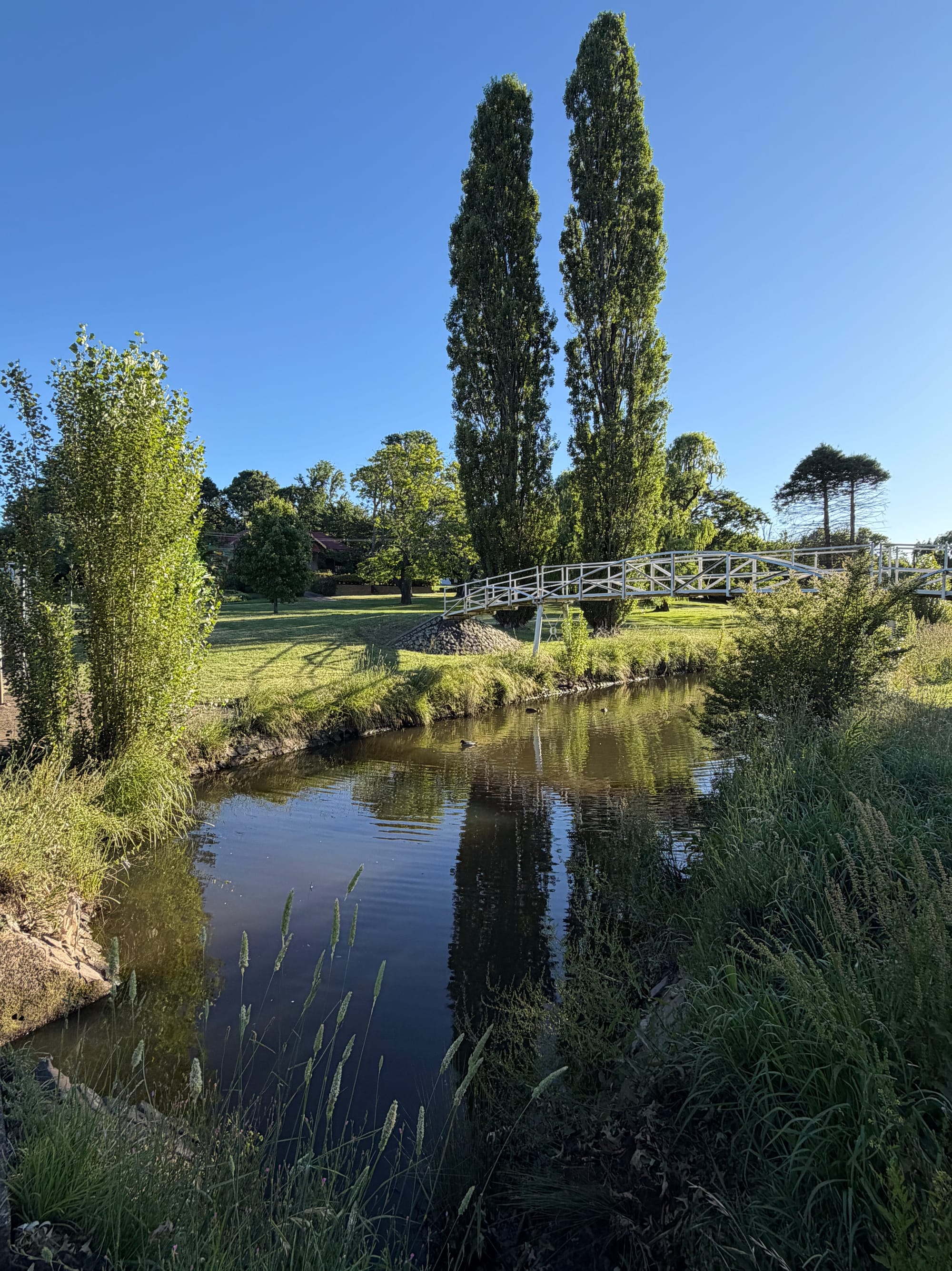 Dumaresq Creek, Armidale, NSW